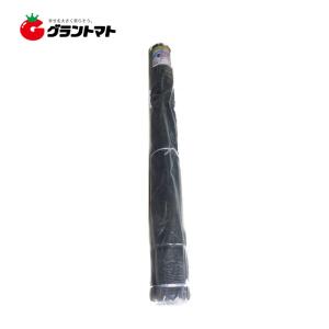 遮光ネット 90% 2m×50m 農園芸用日よけシート シンセイ