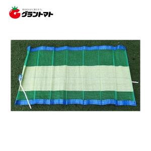 ネギ収穫ネット KCW-60-125-B 40枚 シンセイ