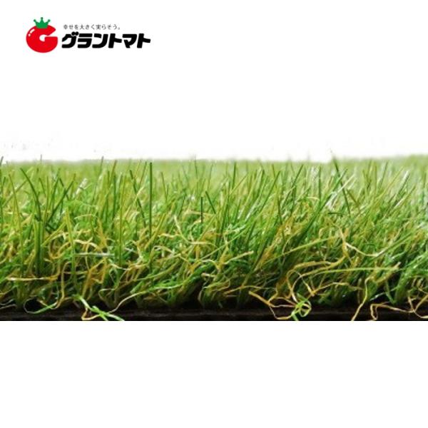 リアル人工芝 芝丈30mm 1ｍ×10ｍ SAT-RG1-3010 つや消しタイプ 枯れ葉入り