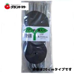 ヘアピン杭 黒丸付30cm 箱売り 500本(10p×50袋セット) 防草シート用 シートキーパー シンセイ