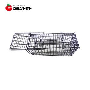 激安‼️イージーキャッチャー  裏フタが開き、餌付け簡単! 餌吊下げ方式 ワナ 罠 オリ      箱罠 小動物キャッチャー45型 エサ吊り下げ方式 捕獲器 オリ ワナ