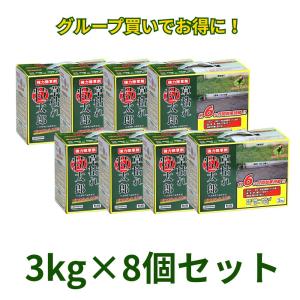 レインボー薬品 除草剤 こっぱみじんM 3kg×6箱 (こっぱみじんW後継品