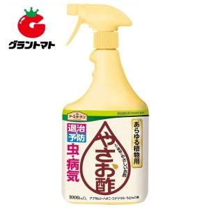 ＥＧ　やさお酢　１０００ＭＬ １０００ｍ?アース製薬【取寄商品】｜グラントマトYahoo!ショッピング店