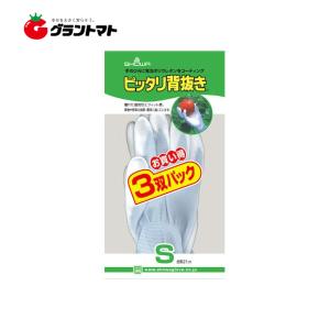 ピッタリ背抜き 3双パック×5袋 Sサイズ ポ...の詳細画像1