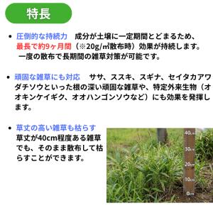 ネコソギトップF 3kg 除草剤 レインボー薬...の詳細画像2
