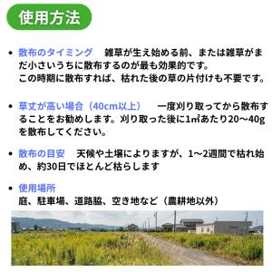 ネコソギトップF 3kg 除草剤 レインボー薬...の詳細画像3
