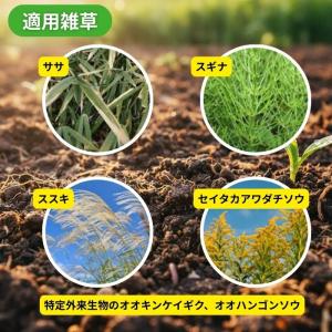 ネコソギトップF 20kg (5kg×4) 除...の詳細画像5