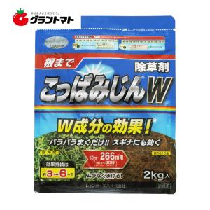 こっぱみじんW 2kg 除草剤 レインボー薬品 【取寄商品】