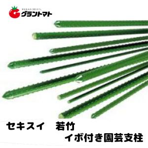 若竹 １１mm×１２００mm パック売り100本入り セキスイ樹脂｜grantomato