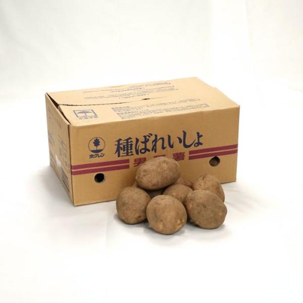 ダンシャク(男爵) 5kg箱 北海道産 じゃがいも 種芋 【種ばれいしょ検疫合格証票付き】