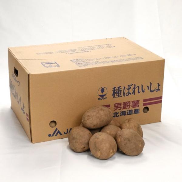 ダンシャク(男爵) 10kg 箱 北海道産 じゃがいも種子 【種ばれいしょ検疫合格証票付き】
