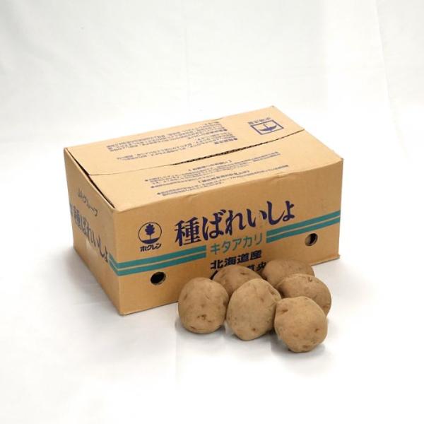 キタアカリ(北あかり) 5kg箱 北海道産 じゃがいも種子 【種ばれいしょ検疫合格証票付き】