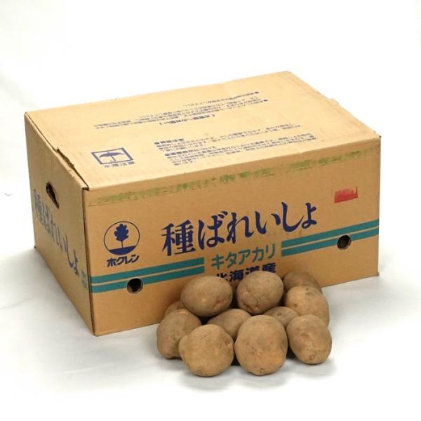 キタアカリ（北あかり）10ｋｇ箱 北海道産 じゃがいも種子 【種ばれいしょ検疫合格証票付き】