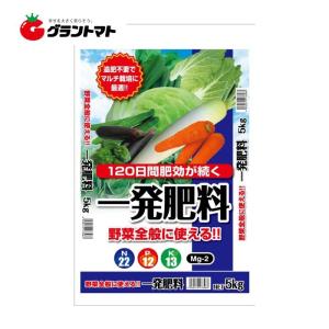 一発肥料 5kg 野菜全般用 2-2-3 セントラルグリーン