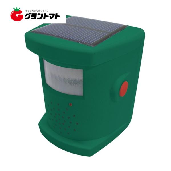 ソーラー ドッキリバード 猛鳥コール 鳥害対策 コンパル