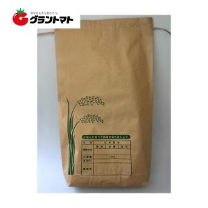 米袋 新袋印刷Aタイプ 2kg・3kg兼用 2重構造の紙袋 王子製袋