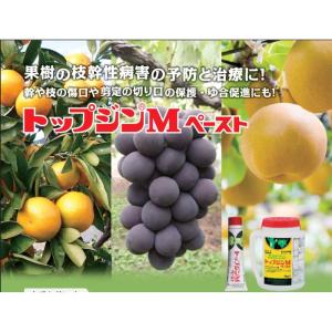 トップジンMペースト 1kg ハケ付き 樹木用...の詳細画像1