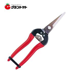 12本セット特価) 岡恒 玉葱鋏 No.306 オカツネ 玉ねぎ鋏 : ザ