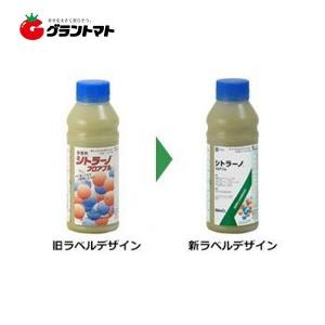 シトラーノフロアブル 500ml 銅混合水和剤 対細菌予防殺菌剤 農薬 アグロカネショウ｜grantomato