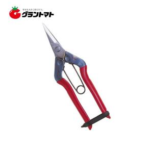 ステンレス摘果鋏 T-500S 尖直刃 バネ付 170mm 近正【取寄商品】