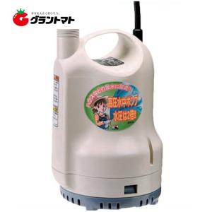 工進（KOSHIN） 【在庫有・即納】工進 ポンディ（清水用水中ポンプ