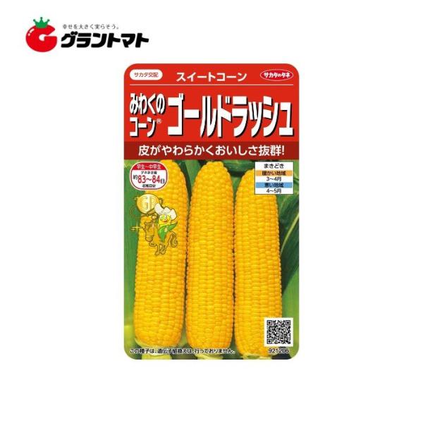 スイートコーン ゴールドラッシュ 約70粒 美咲 サカタのタネ【ゆうパケット可】