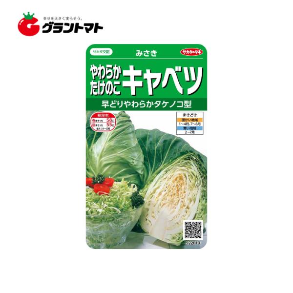 みさき やわらか たけのこキャベツ実咲 1ml サカタのタネ