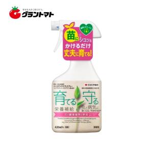 ベニカワイドケアスプレー 420ml 肥料+殺虫殺菌剤 住友化学園芸