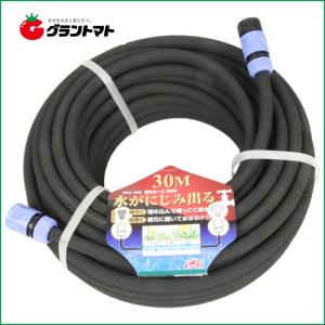 家庭用 融雪ホース 10m 片面穴 凍結防止 融雪ガード チューブ 凍結対策
