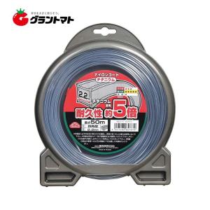 染斜子テープ 4個セット(金茶×2・焦茶×2) 8mm幅 × 54m巻 染斜子テープ 4個セット(金茶×2・焦茶×2) 8mm幅