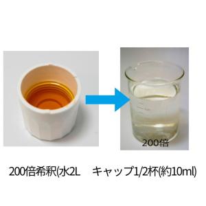 ハイポネックス リキダス800mlの詳細画像2