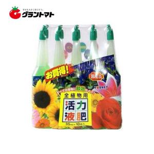 HB-101 500cc (500ml) 天然植物活力液 フローラ HB101 : グラントマト