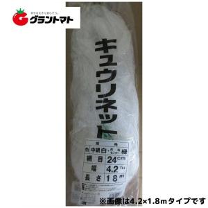 シンセイ 長芋ネット 1.8X200m 24cm目合 : 農家の応援隊 かわニャン