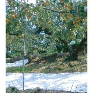 果実用反射シート 1.8*10m 日本マタイ