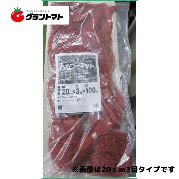 フラワーネット 茶 20cm×3目（60cm幅）100ｍ 日本マタイ/森下