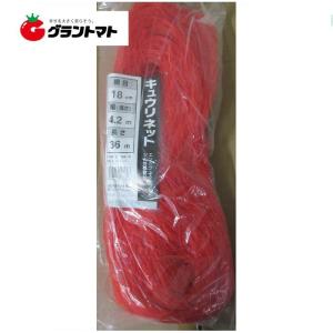 キュウリネット 赤黒 18cm目×幅180cm×...の商品画像