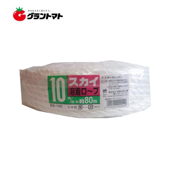 スカイロープ白 BS100 10ｍｍｘ80ｍ 溶着ロープ 宮島化学工業