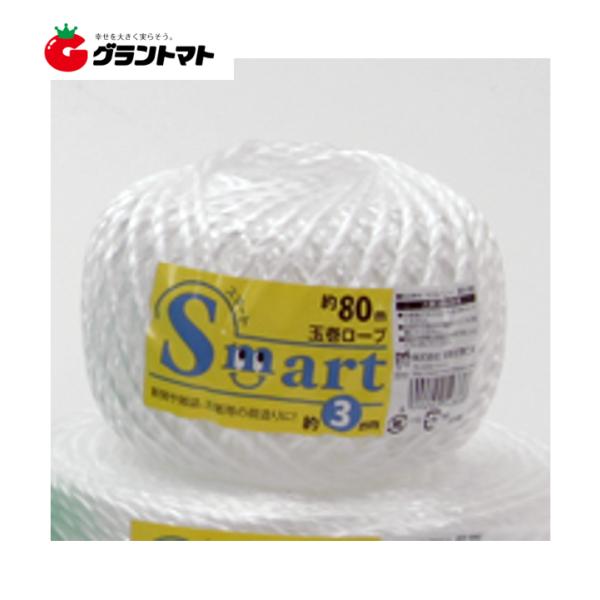 スマート小巻ロープ 白 ES380 3ｍｍｘ80ｍ 宮島化学工業
