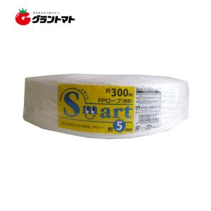 セキスイ セロテープ No.252 18mm×35m 積水化学工業 : グラントマト
