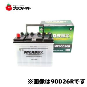 Panasonic（パナソニック） EVERSTRON エバストロン 国産車用カー