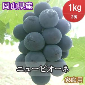 ニューピオーネ 1kg 2房 ちょっと訳あり 《岡山県産 大粒 種無し ぶどう 朝採り》