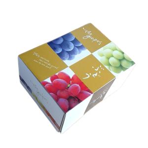 ニューピオーネ 1kg 2房 ちょっと訳あり ...の詳細画像2