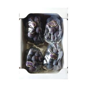 贈答用 オーロラブラック 2kg 3〜4房《岡...の詳細画像1