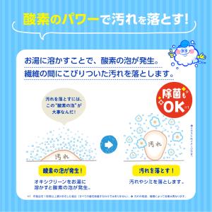 オキシクリーン EX アメリカ版 2.27kg...の詳細画像4