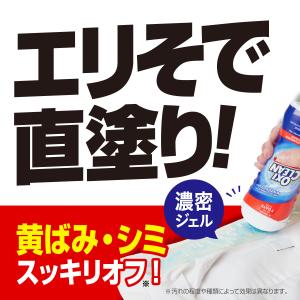 オキシクリーン マックスフォース ジェル タイ...の詳細画像1