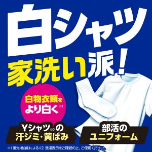 オキシクリーン ホワイトリバイブ 500g×2...の詳細画像1