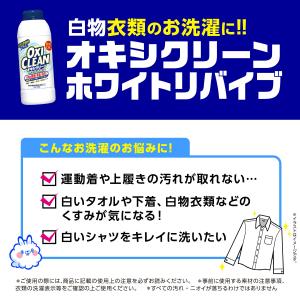 オキシクリーン ホワイトリバイブ 500g×2...の詳細画像2