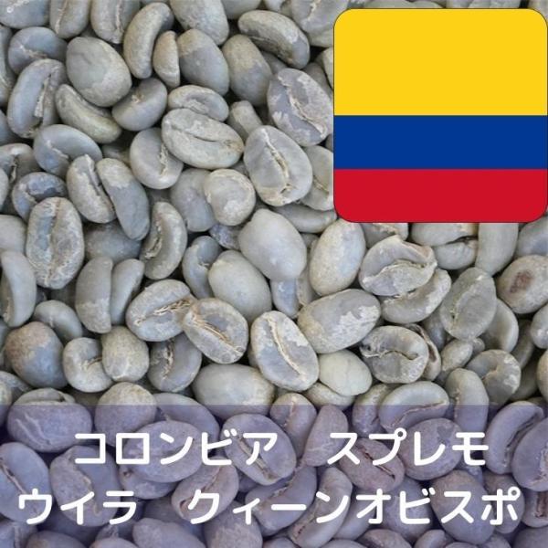 コーヒー生豆 1kg コロンビア スプレモ ウイラ クィーンオビスポ Qグレード