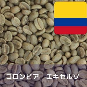 コーヒー生豆 10kg メキシコ SHG クステペック農園 Qグレード