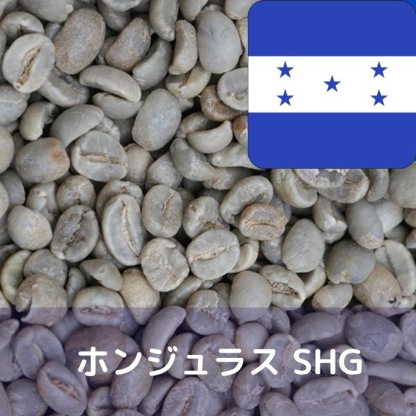 コーヒー生豆 1kg ホンジュラス SHG